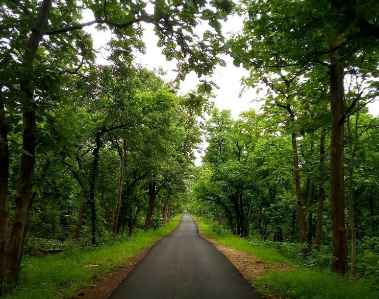 Malewada Hills